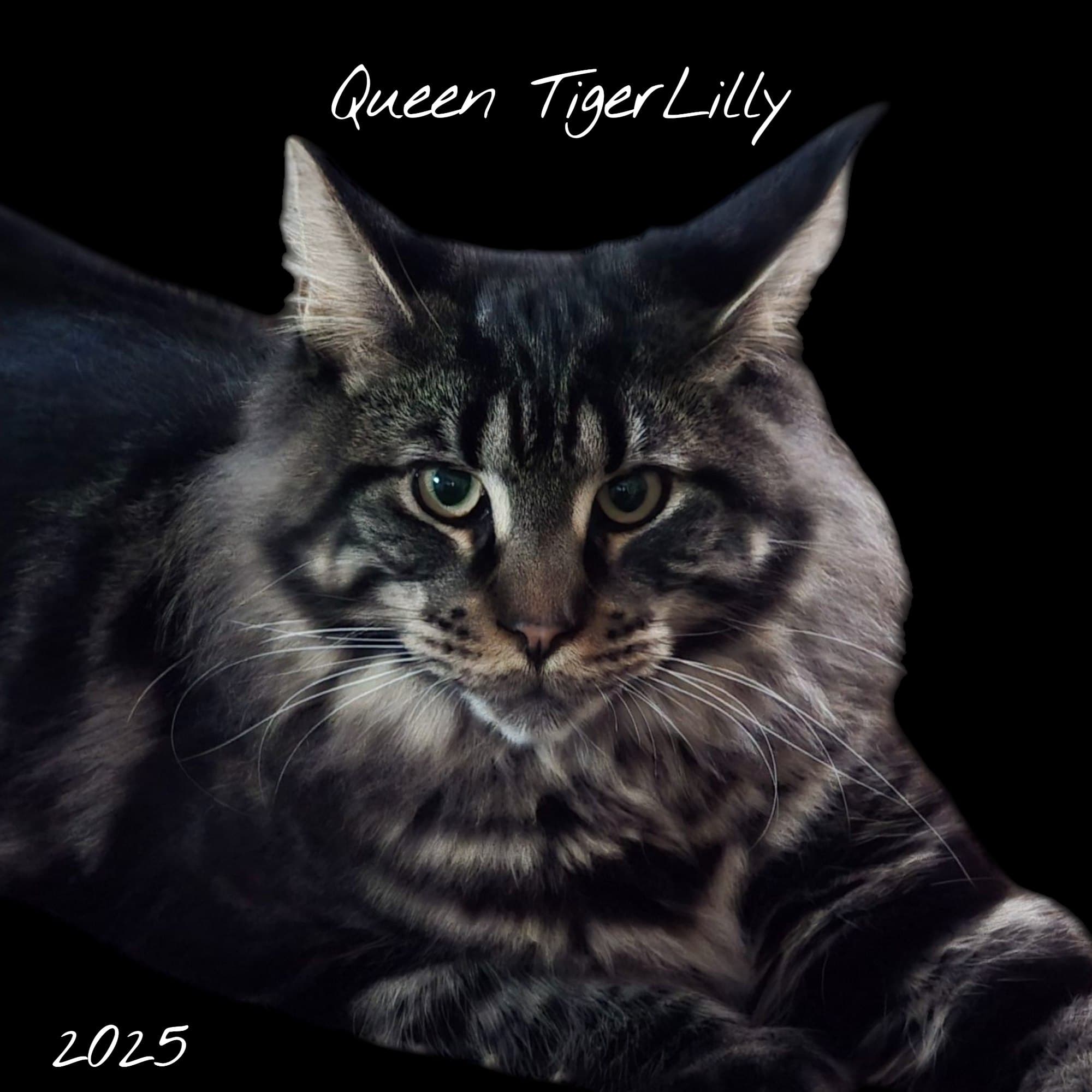 Queen Lilly