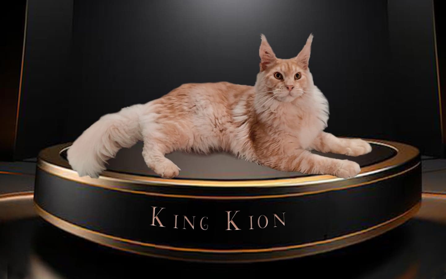 King Kion