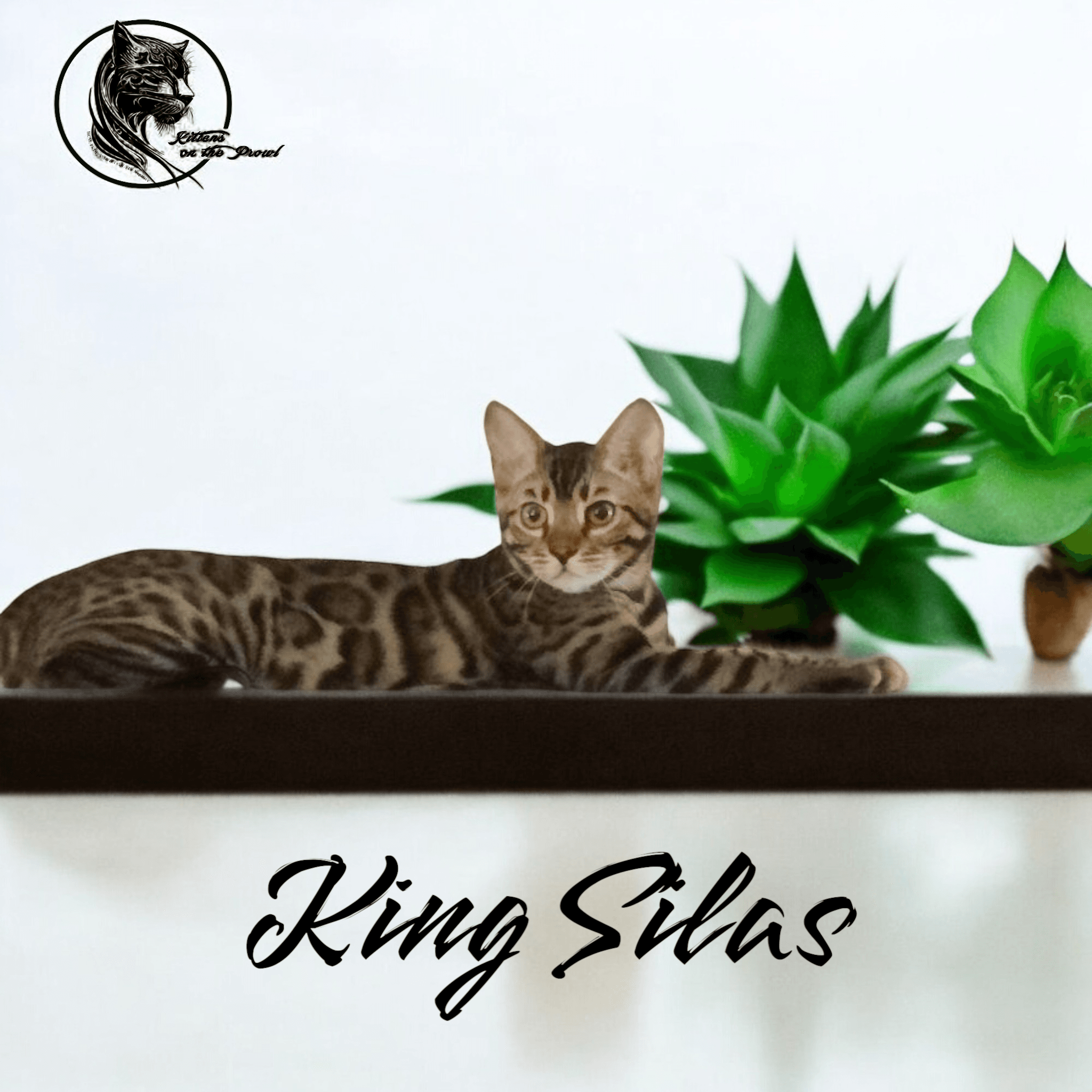 King Silas