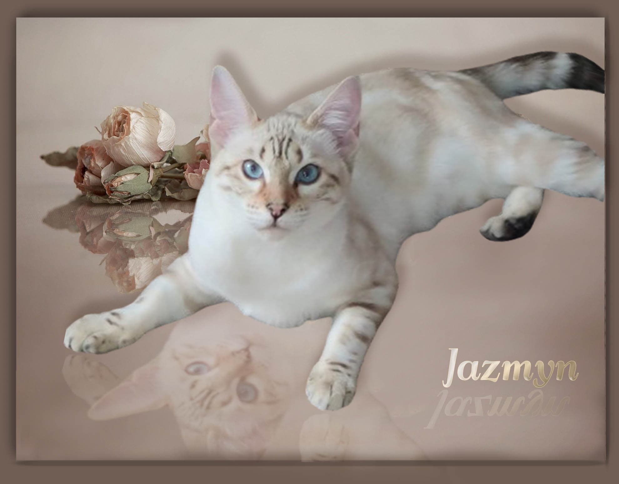 Queen Jazmyn
